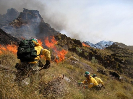 Miembros del Infoca trabajando en la extinción de un incendio (ARCHIVO)