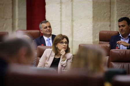 Mar Sánchez, parlamentaria andaluza de Ciduadanos (CS)