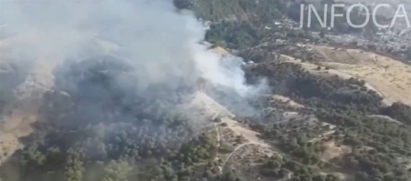 El incendio del Sacromonte ya ha sido estabilizado (INFOCA) 