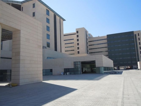Hospital del PTS (JUNTA) 