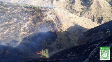 Zona afectada por el incendio (INFOCA) 