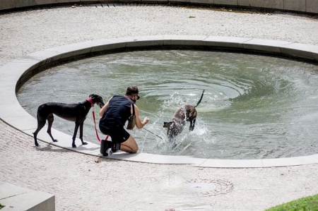 Fin de semana de calor en Granada (EUROPA PRESS) 