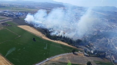 Zona afectada en el incendio de Pinos Puente (INFOCA)