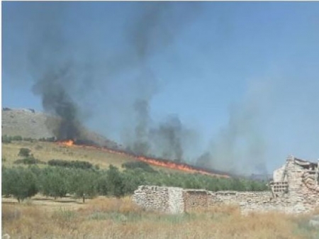 Incendio forestal en Alamedilla (JUNTA)