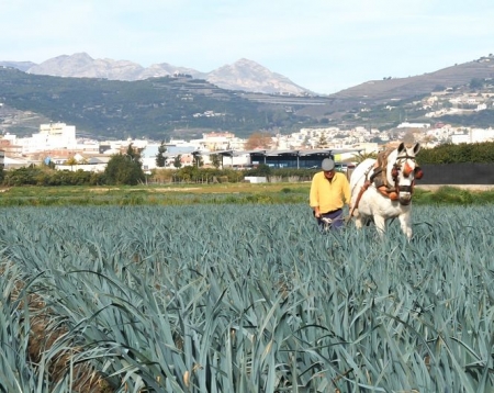 Agricultura