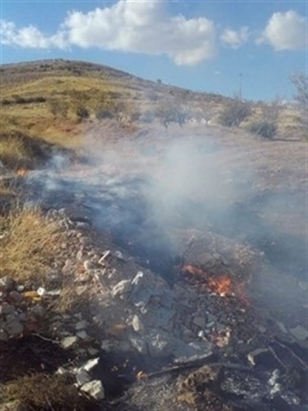 Incendio en la planta de residuos vegetales (INFOCA)