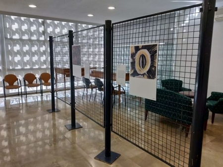 Una de las fotos de `FOTCIENCIA` (UGR)
