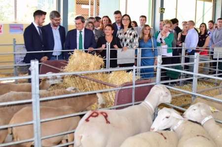 Huéscar está celebrando la Feria del cordero segureño (JUNTA)