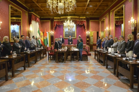 El pleno del Ayuntamiento de Granada ha guardado un minuto de silencio (JAVIER ALGARRA)