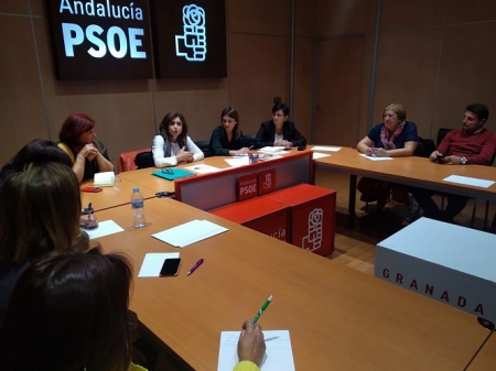 Miembros del PSOE sechan reunido con la asociación Vida de Mujeres Viudas y Madres de Hijas o Hijos Huérfanos (PSOE)
