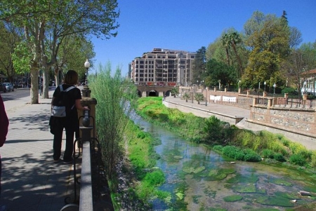 Miembros Ecologistas en Acción en el Río Genil (ECOLOGISTAS EN ACCIÓN) 
