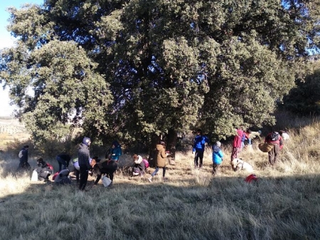 Plantación de bellotas (AYTO. MONACHIL) 