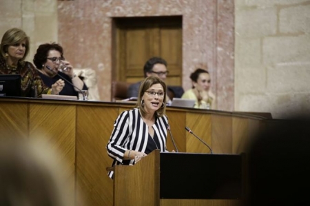 Mar Sánchez durante su intervención en el Parlamento Andaluz (CS)