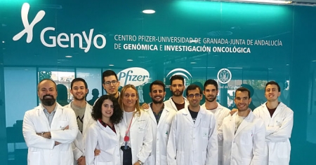 Equipo de investigadores de la UGR que ha llevado a cabo este trabajo (UGR) 