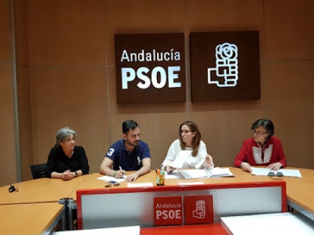 Grupo Municipal del PSOE (PSOE LANJARÓN)