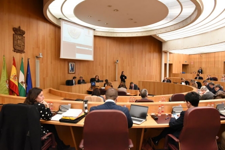 Pleno de DIputación (R. MARTÍNEZ / DIPGRA)