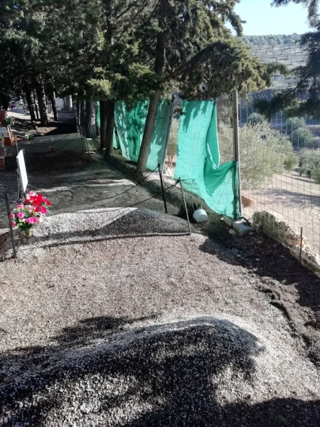 Cementerio Municipal de Íllora (CS ÍLLORA) 