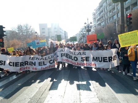 Imagen de la manifestación de educación celebrada este jueves a su llegada a la zona de Puerta Real, en Granada (USTEA)