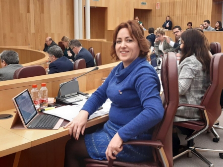 Mari Carmen Pérez diputada provincial de IU (IU) 