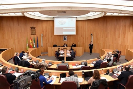 Imagen del pleno celebrado en la Diputación de Granada (DIPUTACIÓN) 