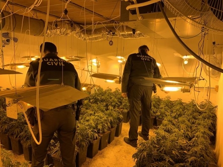 Una de las plantaciones intervenidas (GUARDIA CIVIL) 