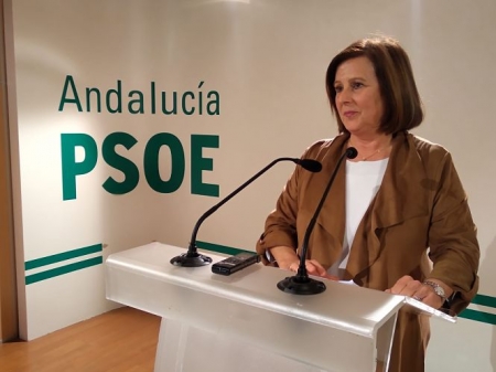  Maria José Sánchez Rubio, parlamentaria andaluza del PSOE (PSOE)