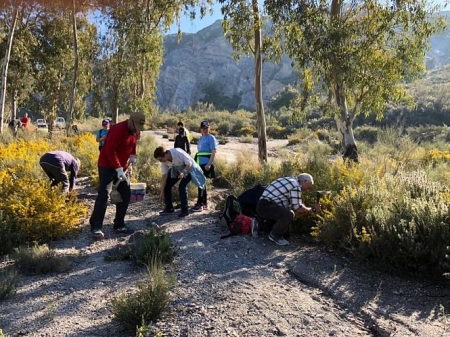 Jornada de reforestación en Órgiva (AYTO. ÓRGIVA) 