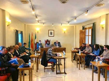 Junta local de Seguridad de Pinos Puente (SUBDELEGACION GOBIERNO)