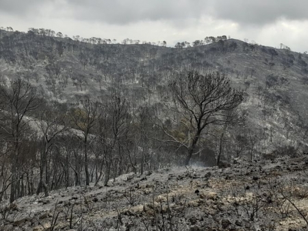 Imagen de la superficie calcinada en el incendio de Los Guajares (PLAN INFOCA) 