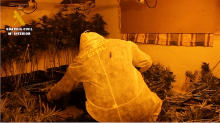 Un agente de la Guardia Civil en la plantación (GUARDIA CIVIL) 