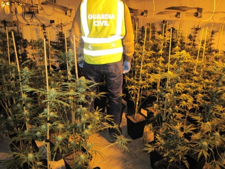 Un Guardia Civil en la plantación (GUARDIA CIVIL) 