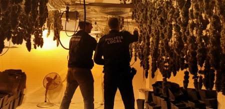Una de las plantaciones descubiertas en Santa Fe (GUARDIA CIVIL) 