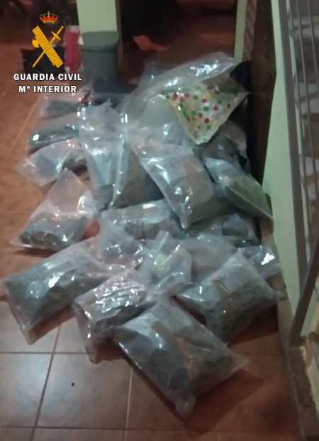 Marihuana incautada en El Chaparral (GUARDIA CIVIL) 