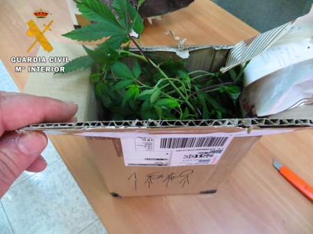 Uno de los paquetes postales donde se camuflaba el cannabis (GUARDIA CIVIL) 