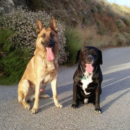 Patrulla canina de Almuñécar (AYTO. ALMUÑECAR) 