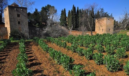 Huertas del Generalife (PATRONATO DE LA ALHAMBRA) 