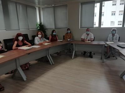 Comisión Violencia de Género (JUNTA DE ANDALUCÍA) 