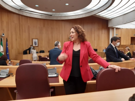 Mari Carmen Pérez durante un pleno de Diputación (IU) 