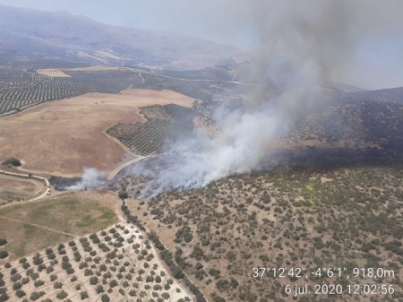 Incendio en un paraje de Loja (INFOCA) 