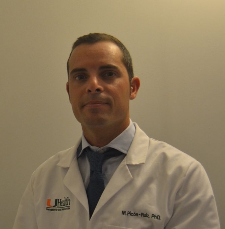 Manuel Picón Ruiz, investigador del departamento de Anatomía y Embriología Humana de la UGR (UGR) 