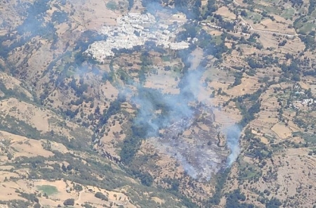 Lugar donde se ha producido el incendio (INFOCA)