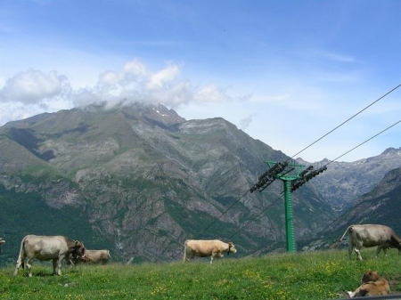 Pirineos (GOBIERNO DE ARAGÓN) 