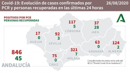 Evolución diaria de la pandemia en Andalucía (JUNTA DE ANDALUCÍA) 