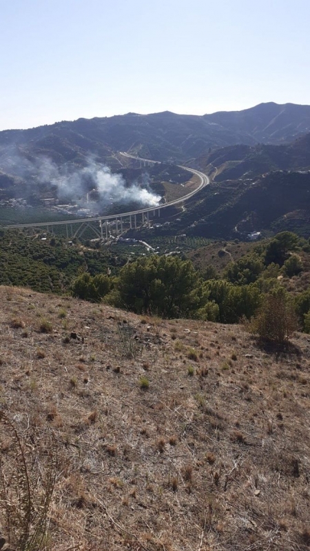 Lugar donde se ha producido el incendio (INFOCA)