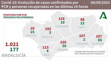 Evolución diaria de la pandemia en Andalucía (JUNTA DE ANDALUCÍA) 