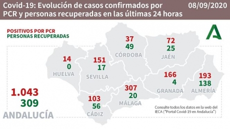 Evolución diaria de la pandemia en Andalucía (JUNTA DE ANDALUCÍA) 
