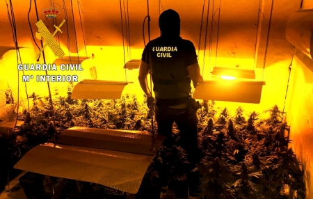 Cannabis incautado en la operación`Green Planet` (GUARDIA CIVIL)