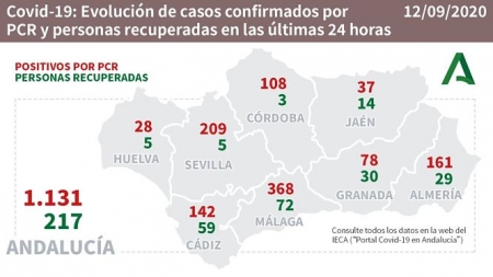 Evolución diaria de la pandemia en Andalucia (JUNTA DE ANDALUCÍA)