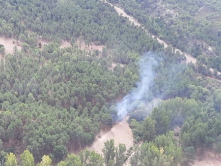 Incendio forestal en Nívar (INFOCA)