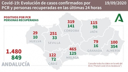 Evolución diaria de la pandemia en Andalucía (JUNTA DE ANDALUCÍA) 